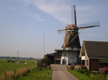 foto van Westbroek